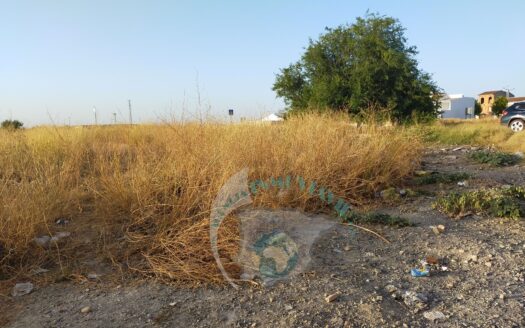 REF.20031 SOLAR URBANIZABLE BENAMEJI