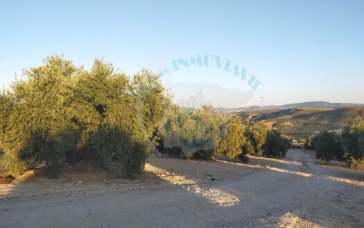 REF.20035 TERRENO RUSTICO EN BENAMEJI