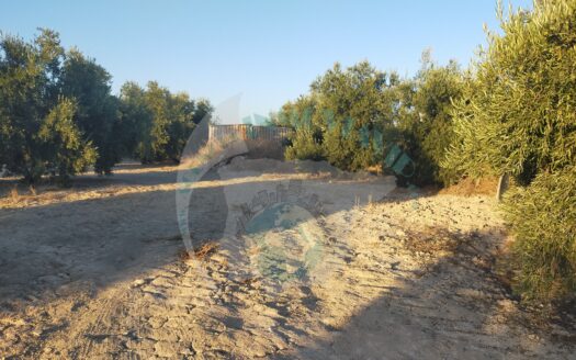 REF.20034 PARCELA RUSTICA 1000M2 APROX.