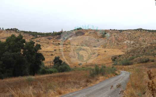 REF.20045 FINCA DE TIERRA CALMA BENAMEJI