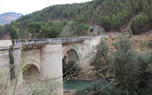 REF.20045 FINCA DE TIERRA CALMA BENAMEJI