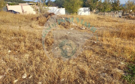 REF.LUC20006 PARCELA CAMPO DE ARAS LUCENA