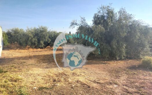 REF.LUC20008 PARCELA 1100M2 PLAN PARCIAL