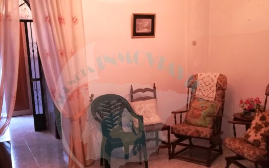 REF.19022 CASA CENTRICA BENAMEJI