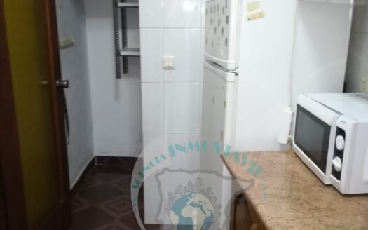 REF.20001 VIVIENDA CENTRICA REFORMADA