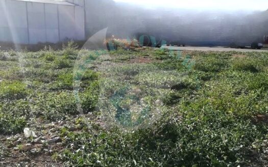 REF.19008 PARCELA INDUSTRIAL EN POLIGONO INDUSTRIAL 850M2