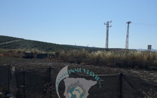 REF.18038 SOLAR POLIGONO INDUSTRIAL