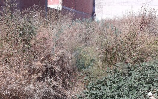 REF.18037 SOLAR URBANIZABLE DE 141M2