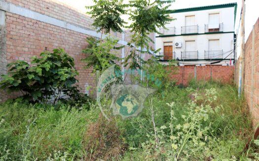 REF.21045 SOLAR EN ESQUINA C/PRINCIPAL