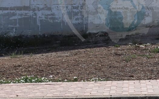 REF.21029 SOLAR-TERRENO EN ESQUINA