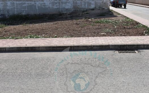 REF.21030 SOLAR RADIOCENTRICO