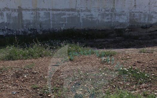 REF.21027 PARCELA, SOLAR 101M2 EN LLANO