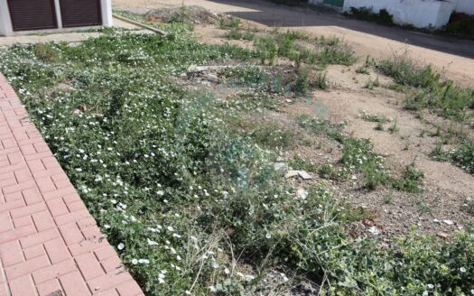 REF.21024 INVERSION EN TERRENO URBANO