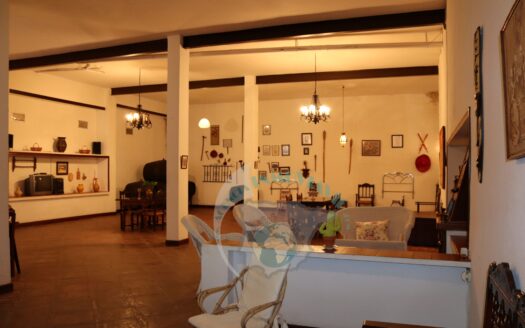 REF.21043 CASA, NAVE, COCHERA 1341M2