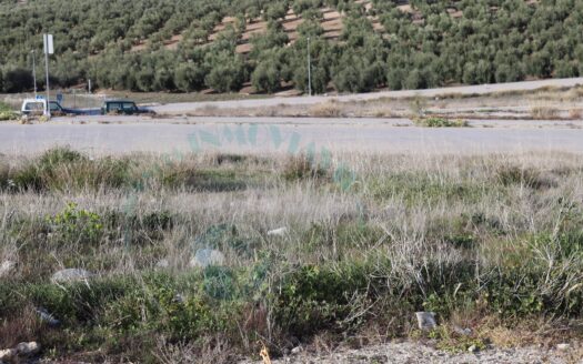 REF.21050 OFERTA SOLAR URBANIZABLE