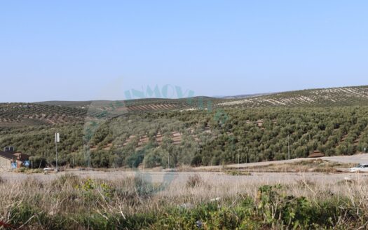 REF.21050 OFERTA SOLAR URBANIZABLE