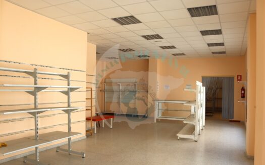 REF.ALG21A001 LOCAL COMERCIAL CENTRICO DE 191m2