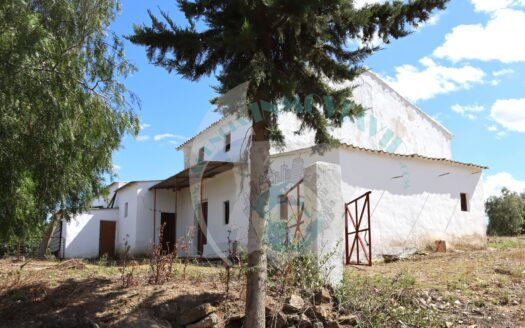 REF.LUC21001 FINCA OLIVAR CON CORTIJO Y POZO