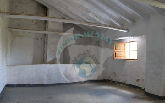 REF.LUC21001 FINCA OLIVAR CON CORTIJO Y POZO