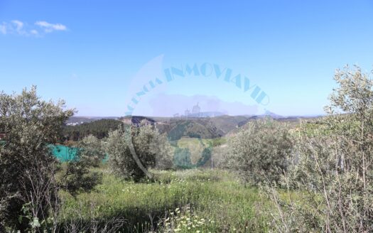 REF.22010 PARCELA CERCANA AL NUCLEO URBANO