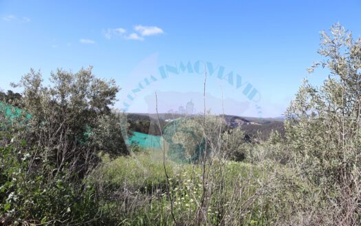 REF.22010 PARCELA CERCANA AL NUCLEO URBANO