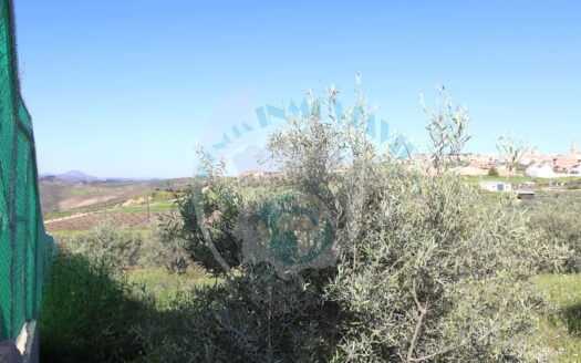 REF.22010 PARCELA CERCANA AL NUCLEO URBANO