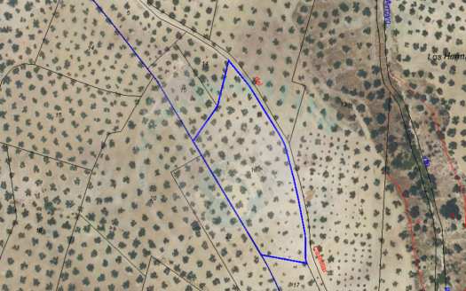 REF.LUC22006 FINCA OLIVAR 1,5 FANEGAS – LOS HERMANITOS