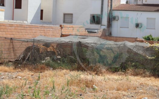 REF.22034 SOLAR URBANO ZONA TRANQUILA