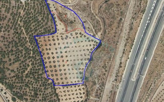 REF.22056 FINCA OLIVAR BENAMEJI