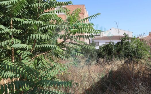 REF.22049 SOLAR CERCADO CON 226m2