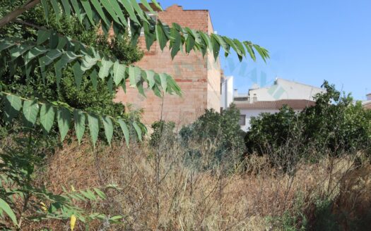 REF.22049 SOLAR CERCADO CON 226m2