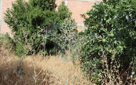 REF.22049 SOLAR CERCADO CON 226m2