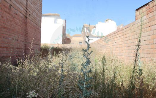 REF.22052 SE VENDE PARCELA DE 544 M2 EN BENAMEJI