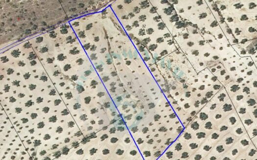 REF.22068 FINCA OLIVAR BENAMEJI