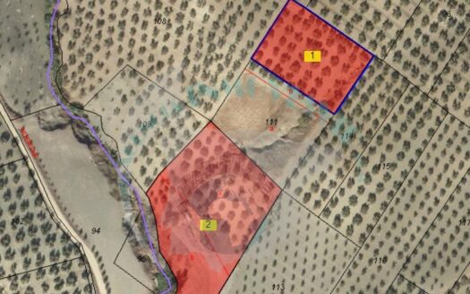 REF.ER22013 FINCA OLIVAR ENCINAS REALES