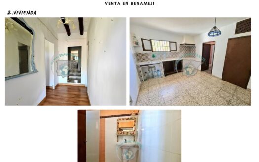 REF.22069 CORTIJO CON FINCA OLIVAR EN BENAMEJI