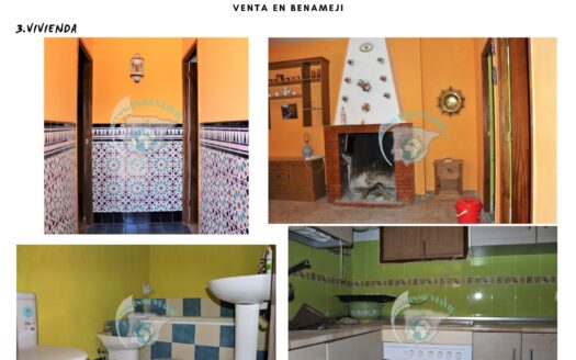 REF.22069 CORTIJO CON FINCA OLIVAR EN BENAMEJI