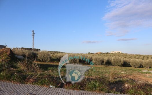 REF.23003 SOLAR URBANIZABLE EN BENAMEJI