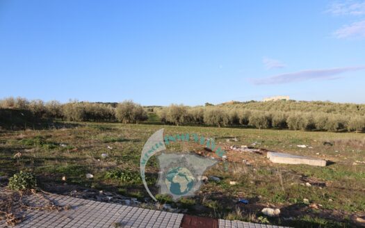 REF.23013 SOLAR URBUNIZABLE BENAMEJI