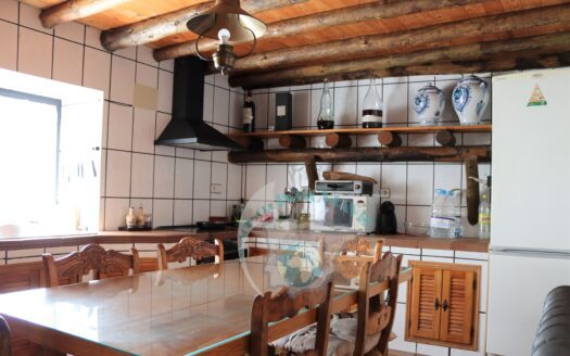 REF.ALR23001 ESTUPENDA CASA DE CAMPO CON VIÑA Y PISCINA