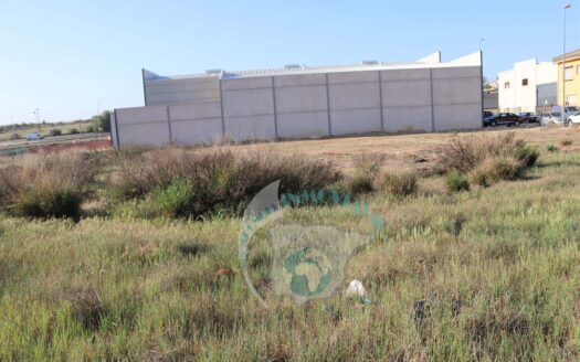 REF.23043 SE VENDE PARCELA INDUSTRIAL EN LA LOCALIDAD DE BENAMEJI