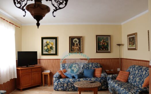 REF.23064 VENTA DE VIVIENDA AMPLIA CON PATIO EN BENAMEJI