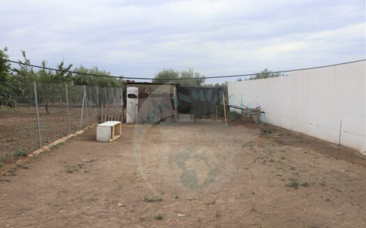 REF.23067 SE VENDE PARCELA RÚSTICA EN BENAMEJI