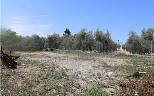 REF.23068 SE VENDE PARCELA RÚSTICA EN BENAMEJI