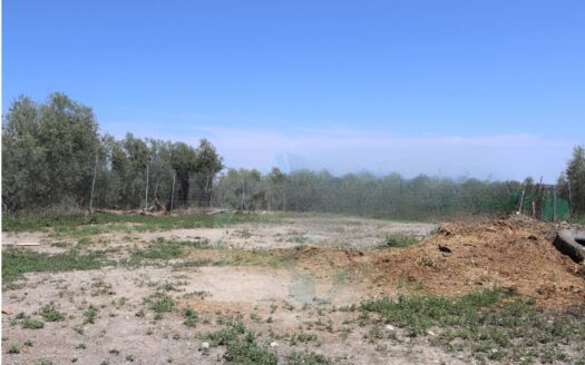 REF.23068 SE VENDE PARCELA RÚSTICA EN BENAMEJI