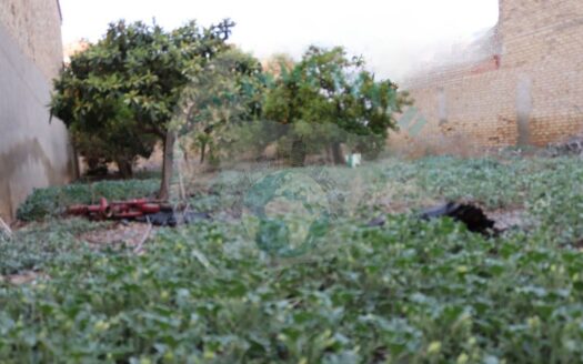 REF.23084 SE VENDE SOLAR URBANIZABLE EN BENAMEJI