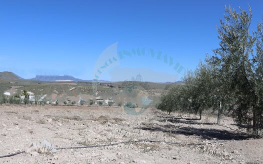 REF.23080 VENTA DE PARCELA RUSTICA EN BENAMEJÍ