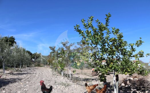 REF.23080 VENTA DE PARCELA RUSTICA EN BENAMEJÍ