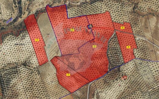 REF.LUC23020 VENTA DE FINCA OLIVAR + CORTIJO