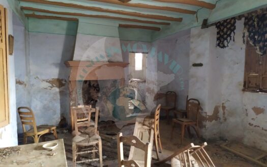 REF.LUC23021 VENTA DE FINCA OLIVAR EN LUCENA